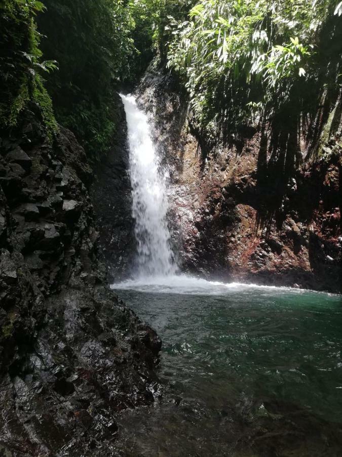 Posada El Acuario Bahia Solano Dış mekan fotoğraf